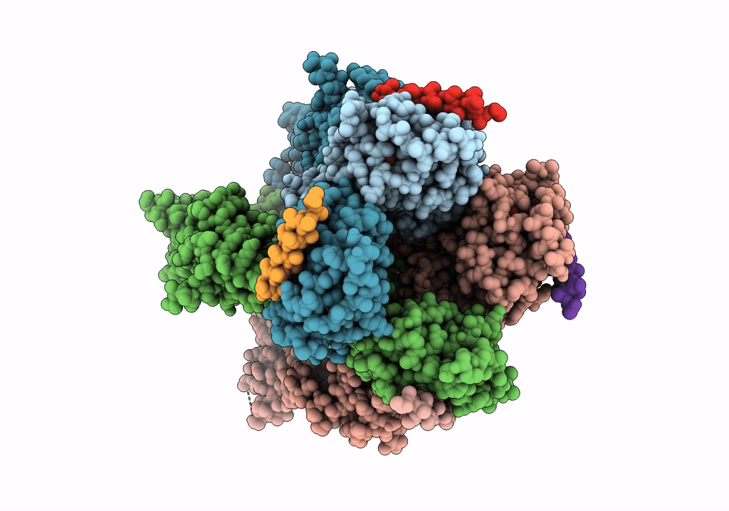 5U6P image