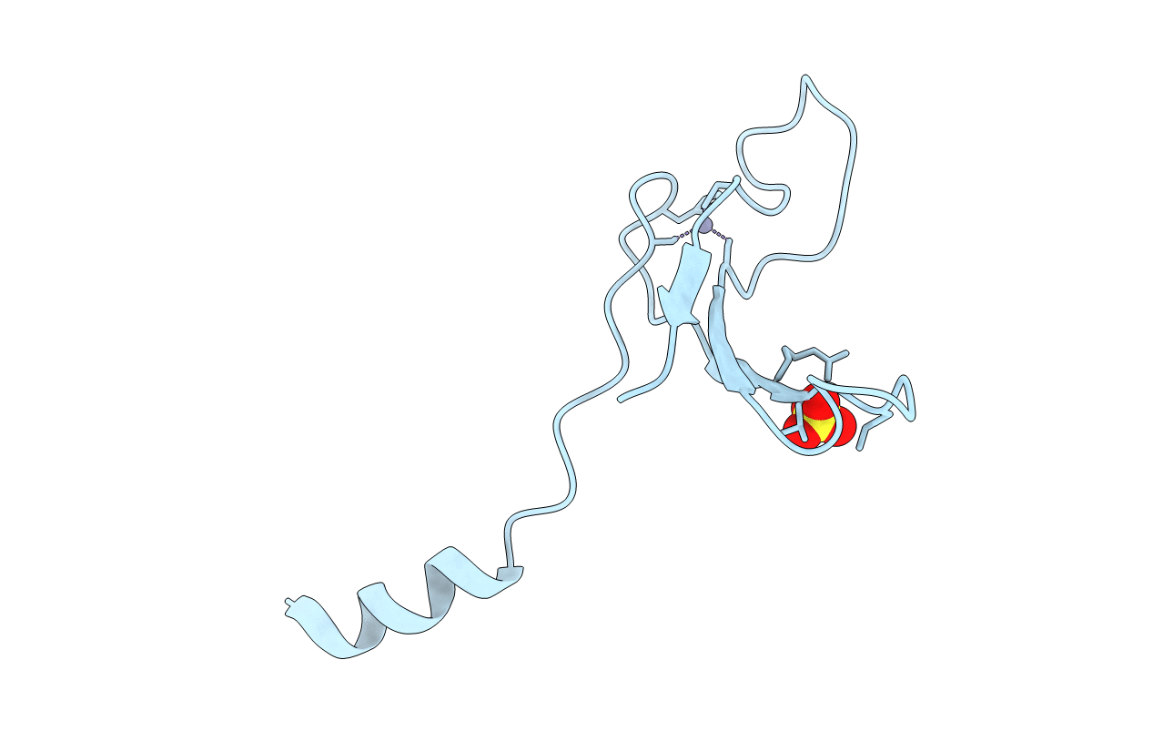 5U6Z image