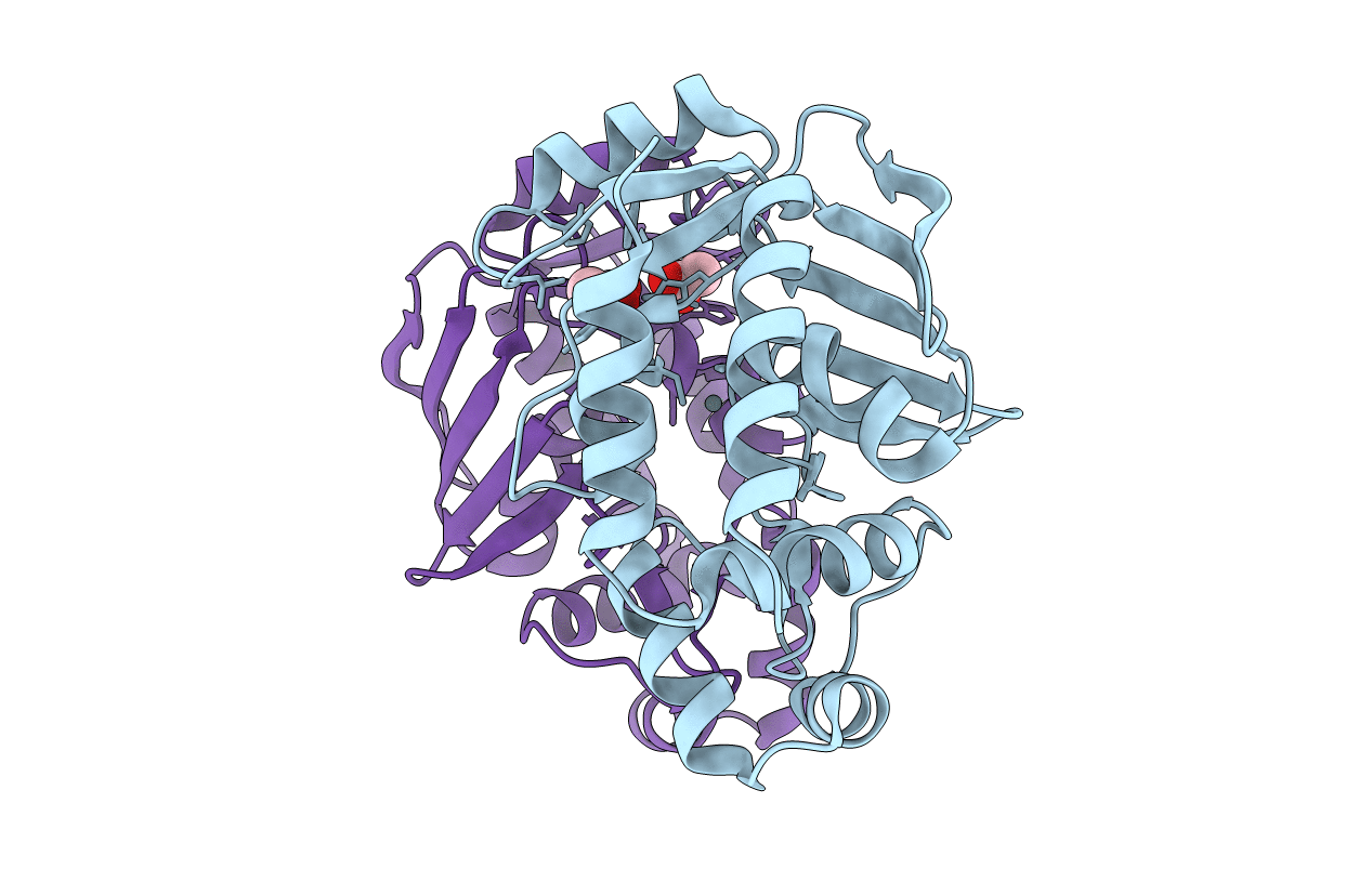 5u7b image