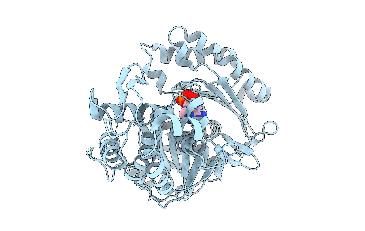 5U7V image