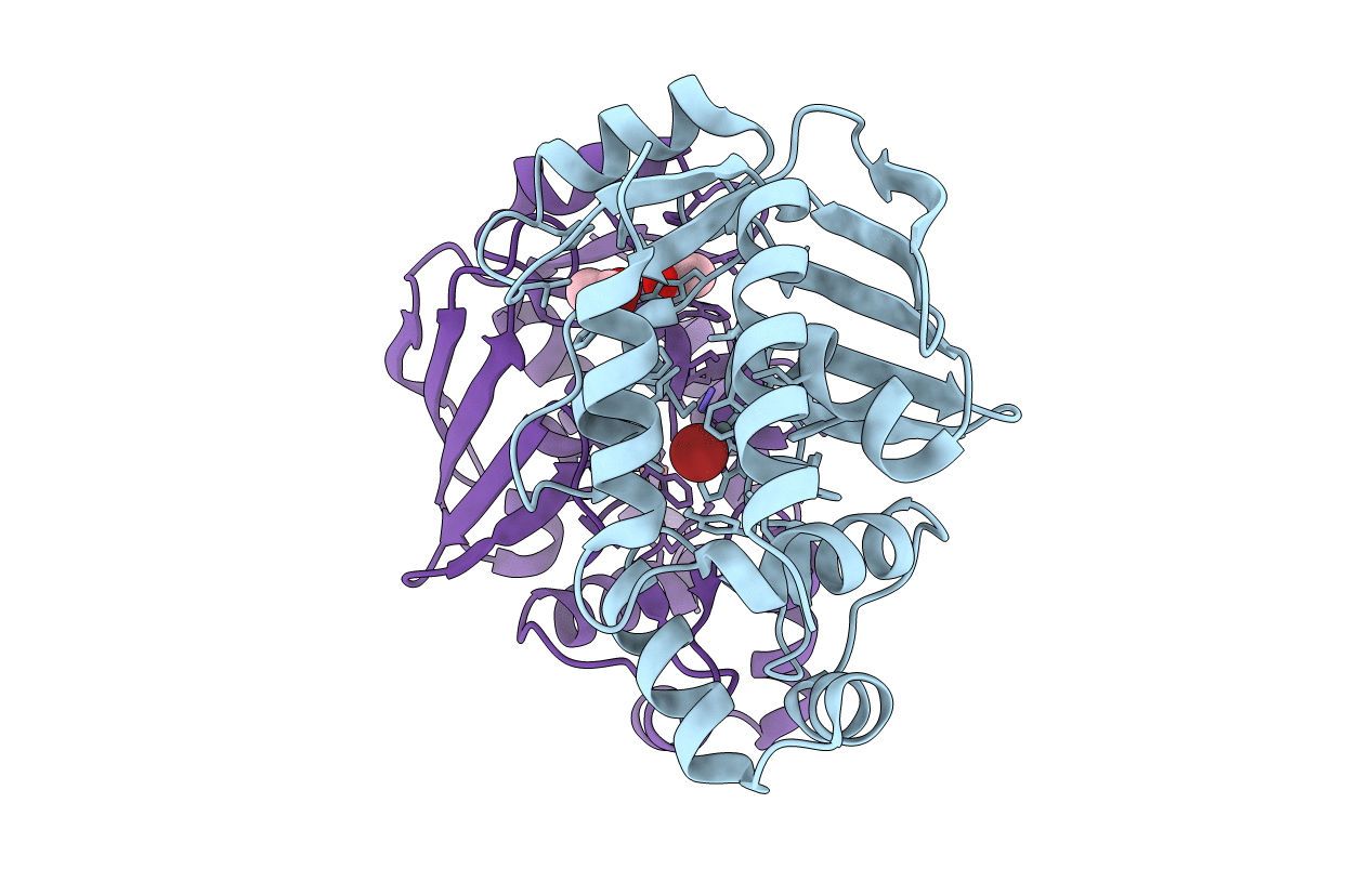 5u82 image