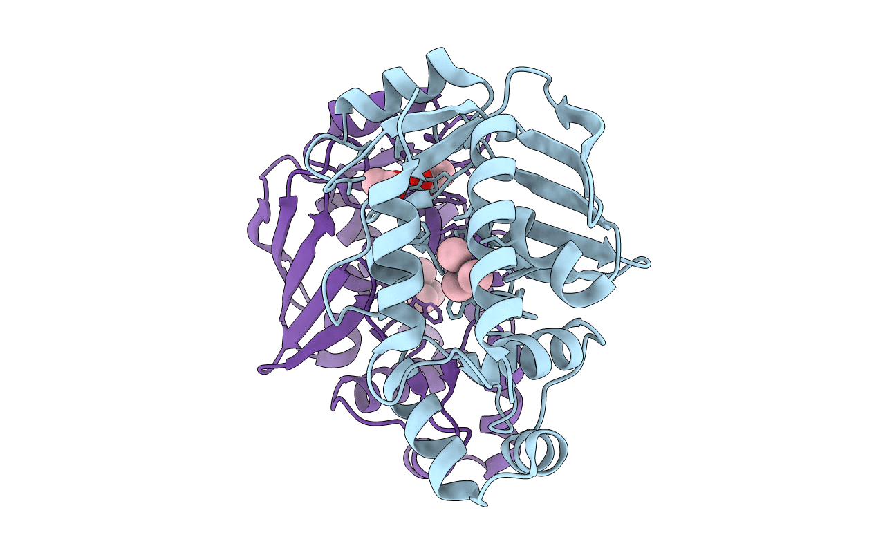 5u83 image