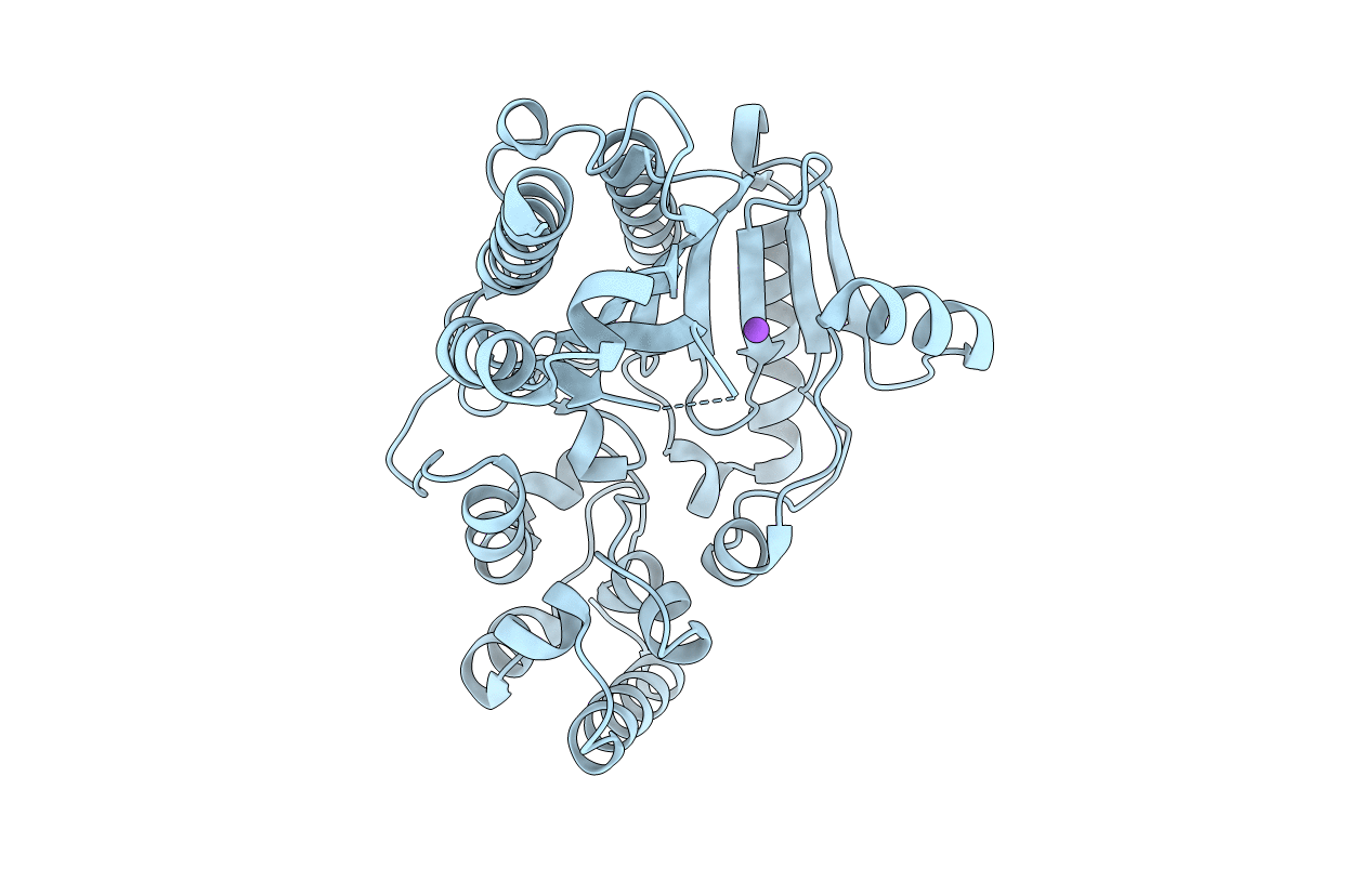 5U8E image