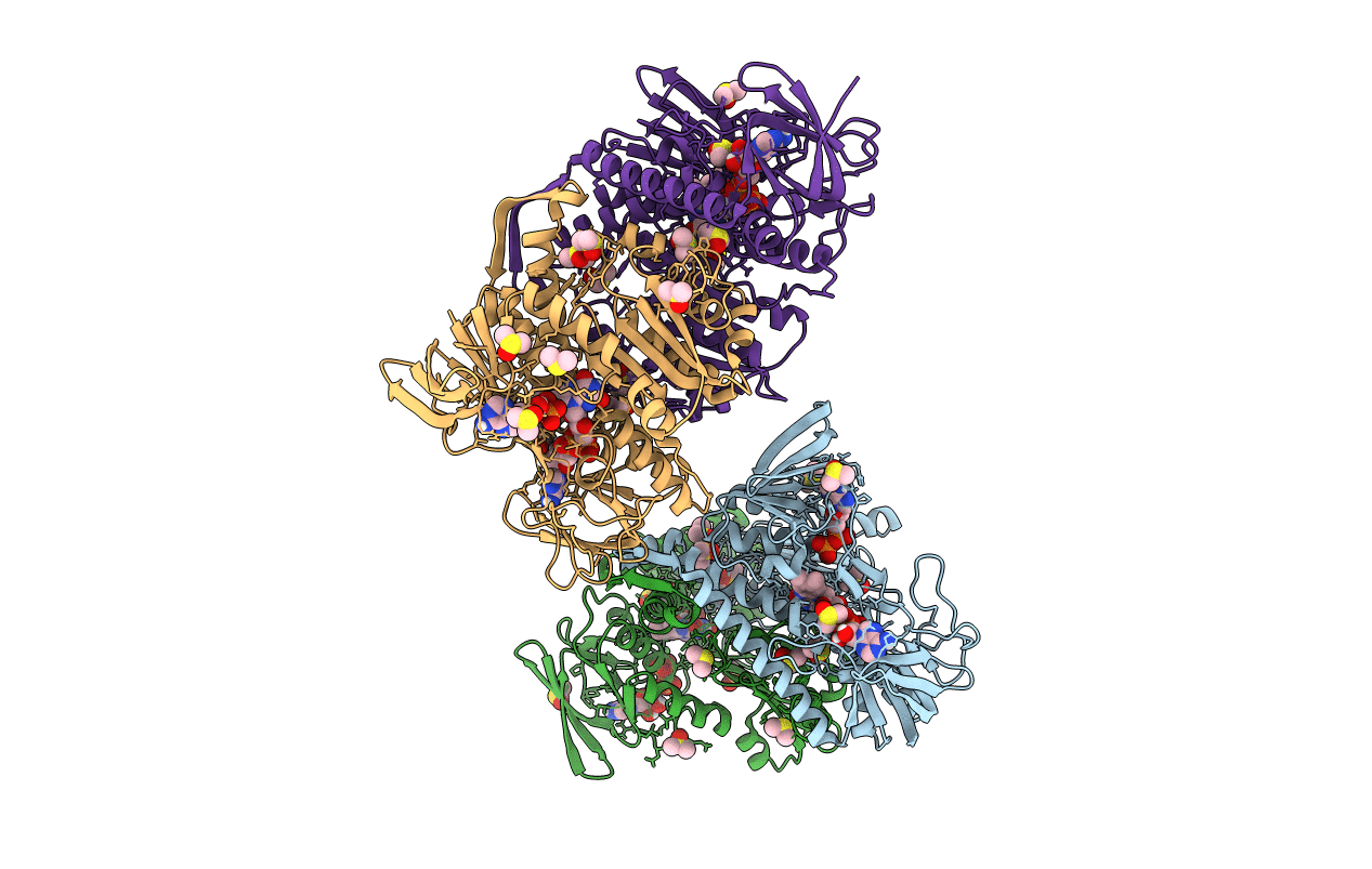 5U8V image