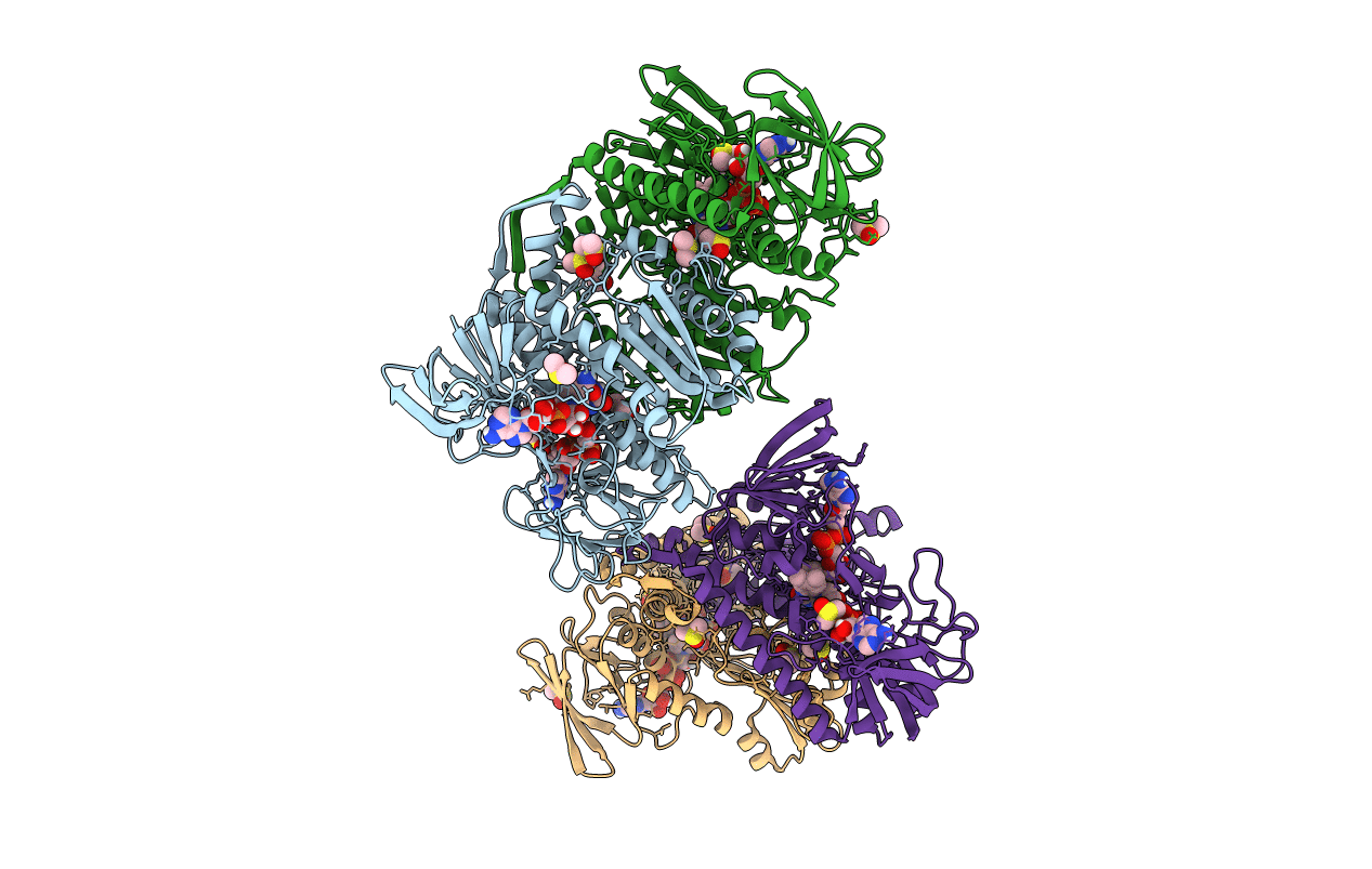 5U8W image