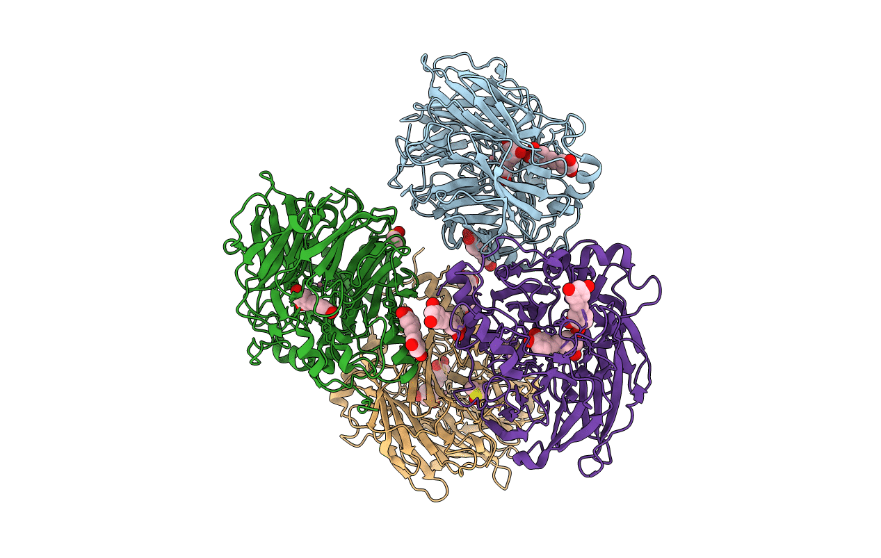 5U97 image