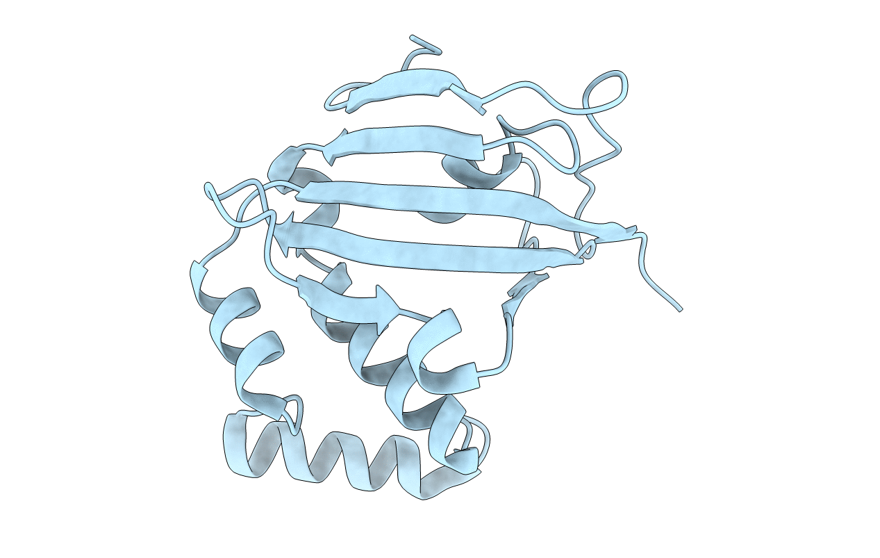5U9A image