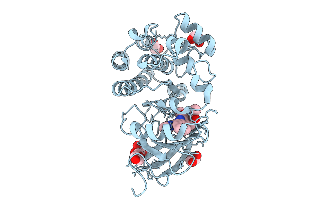 5U9D image