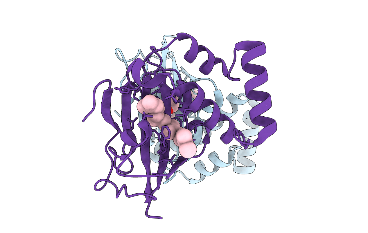 5U9J image