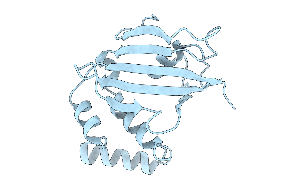5U9K image