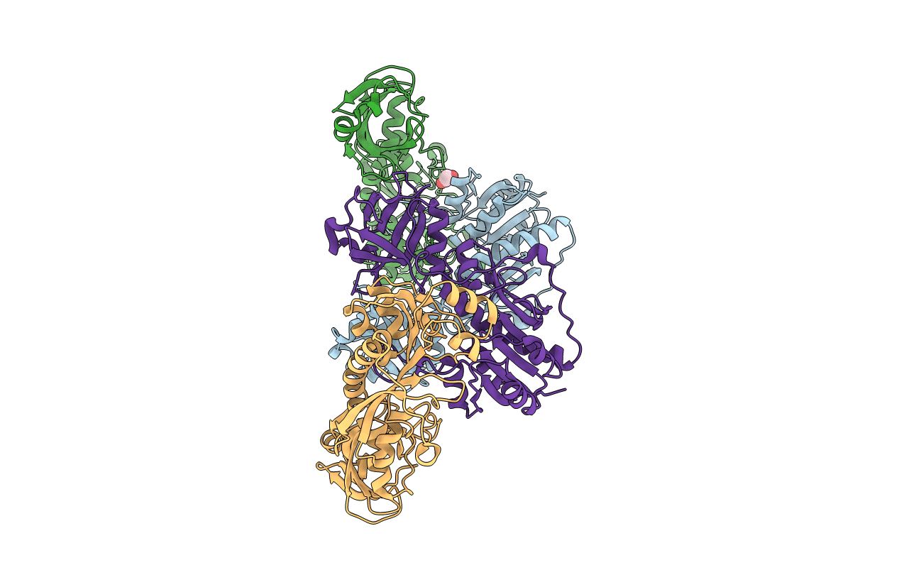 5UAI image