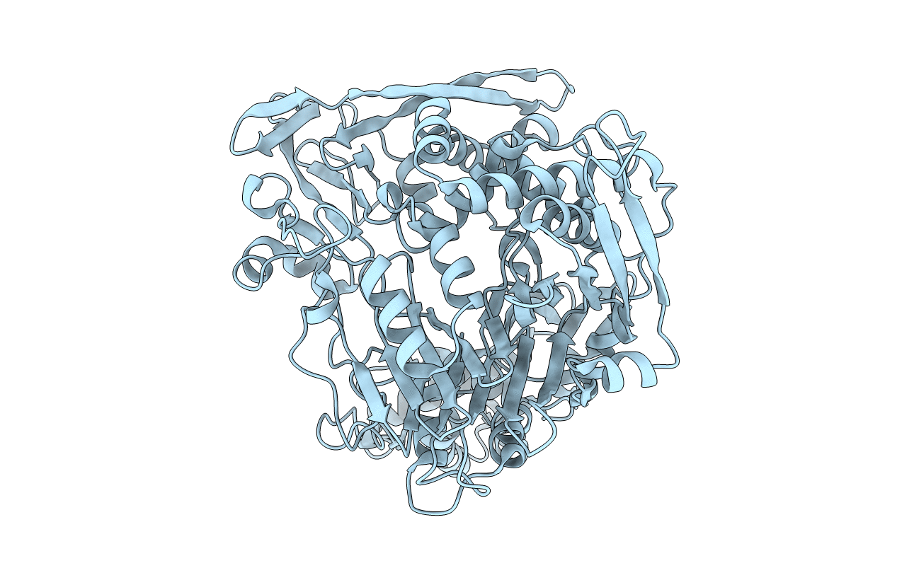 5UBL image
