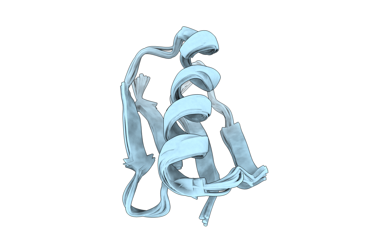5UBS image
