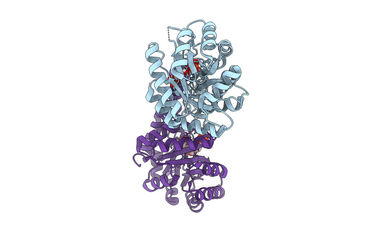 5UCP image