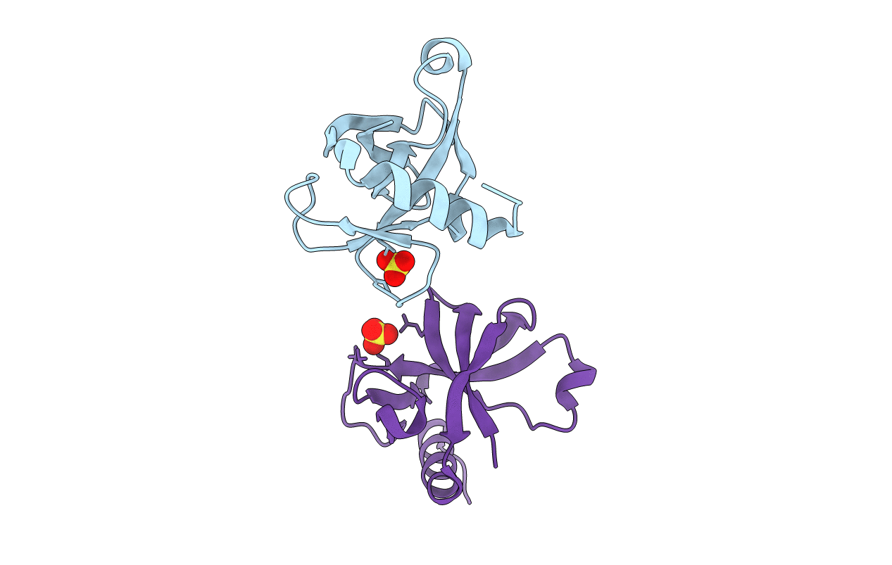 5UCT image