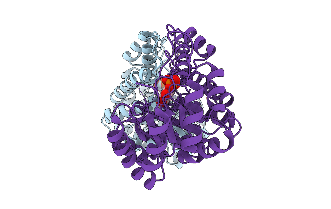 5UCZ image