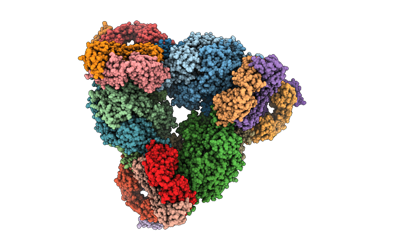 5UDD image