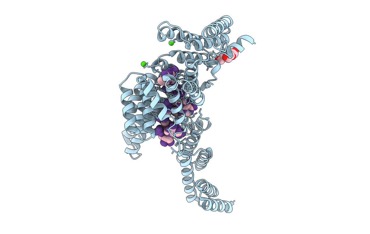 5UDL image