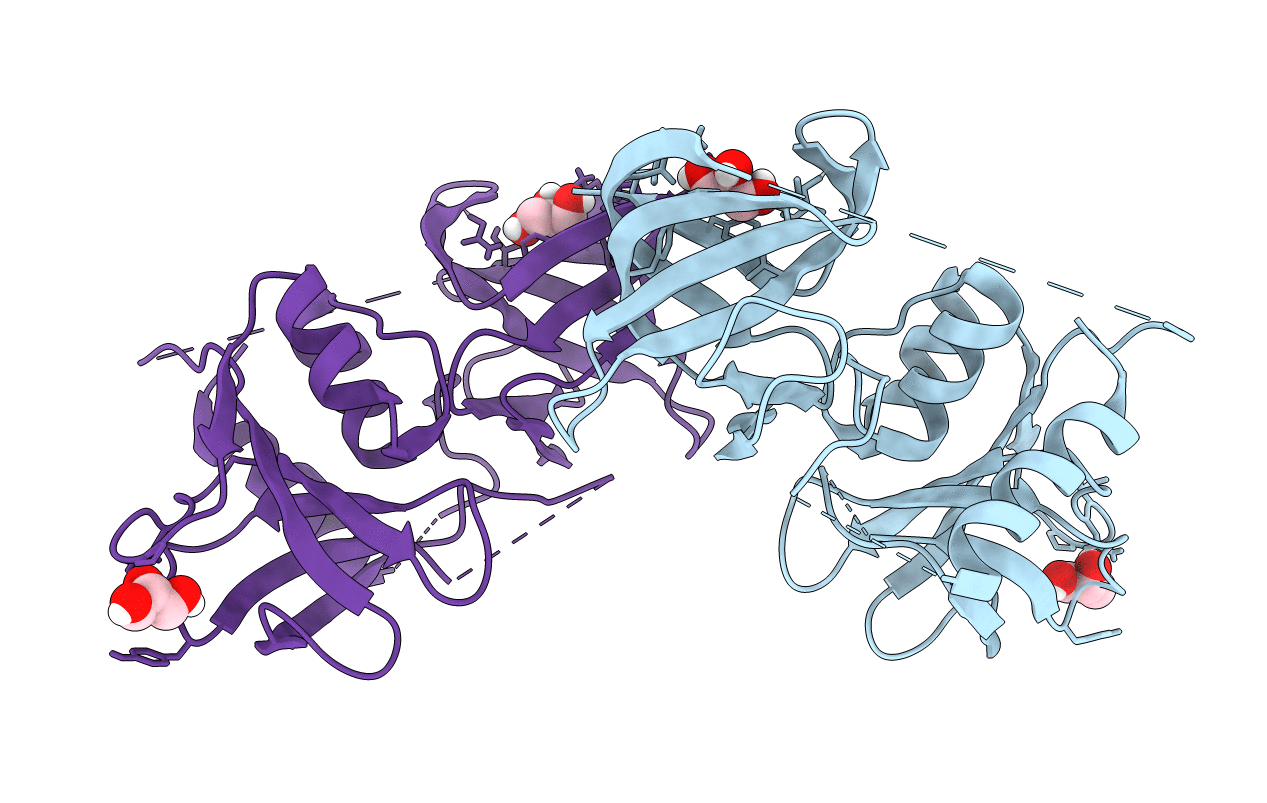 5UDM image