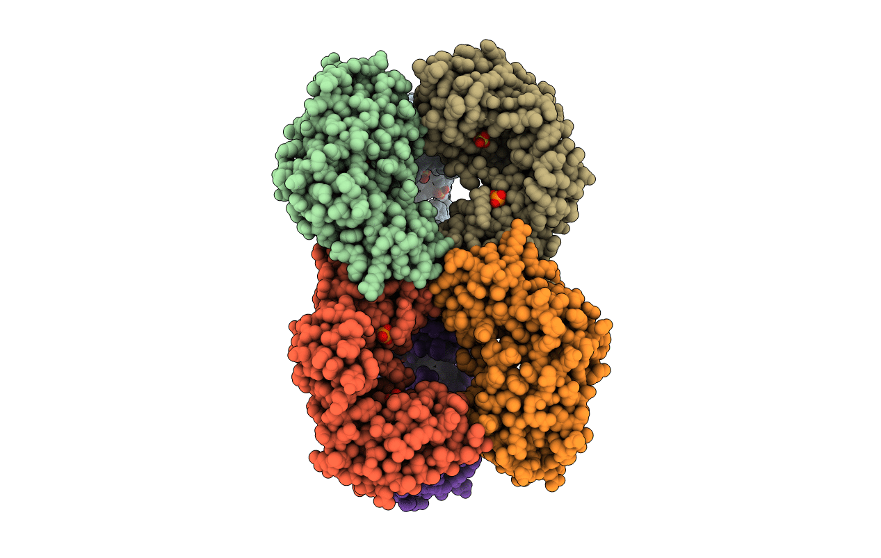5UDQ image