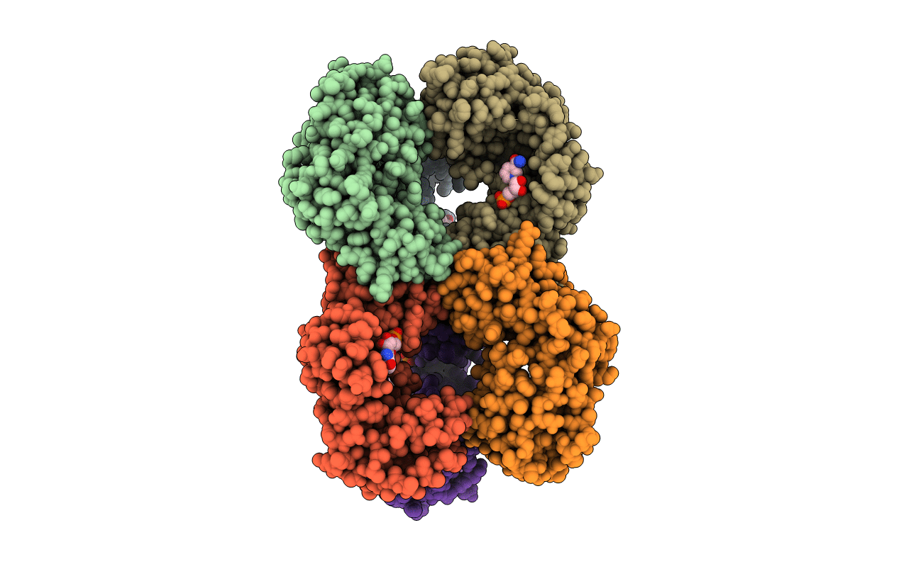 5UDR image