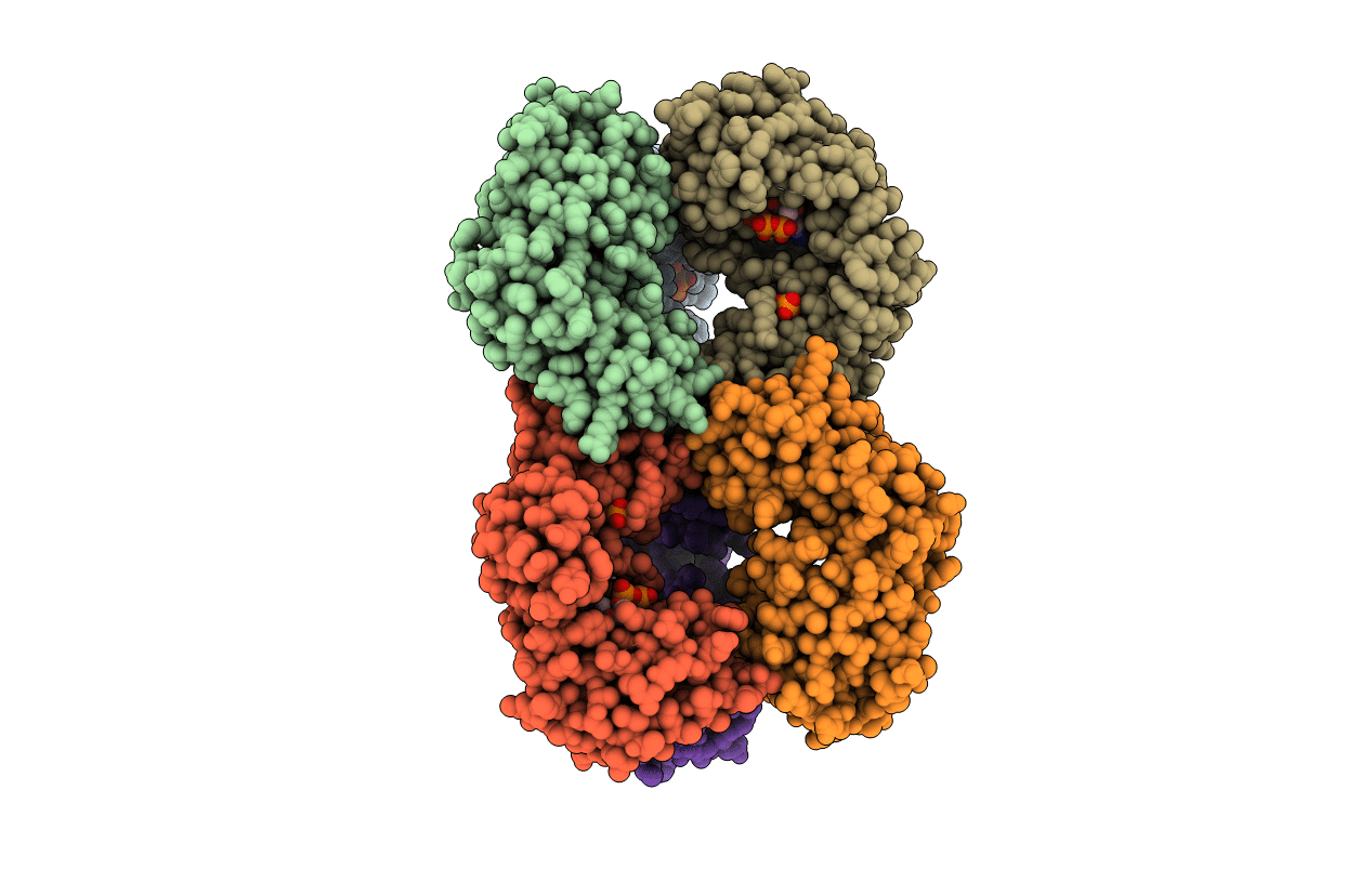 5UDS image