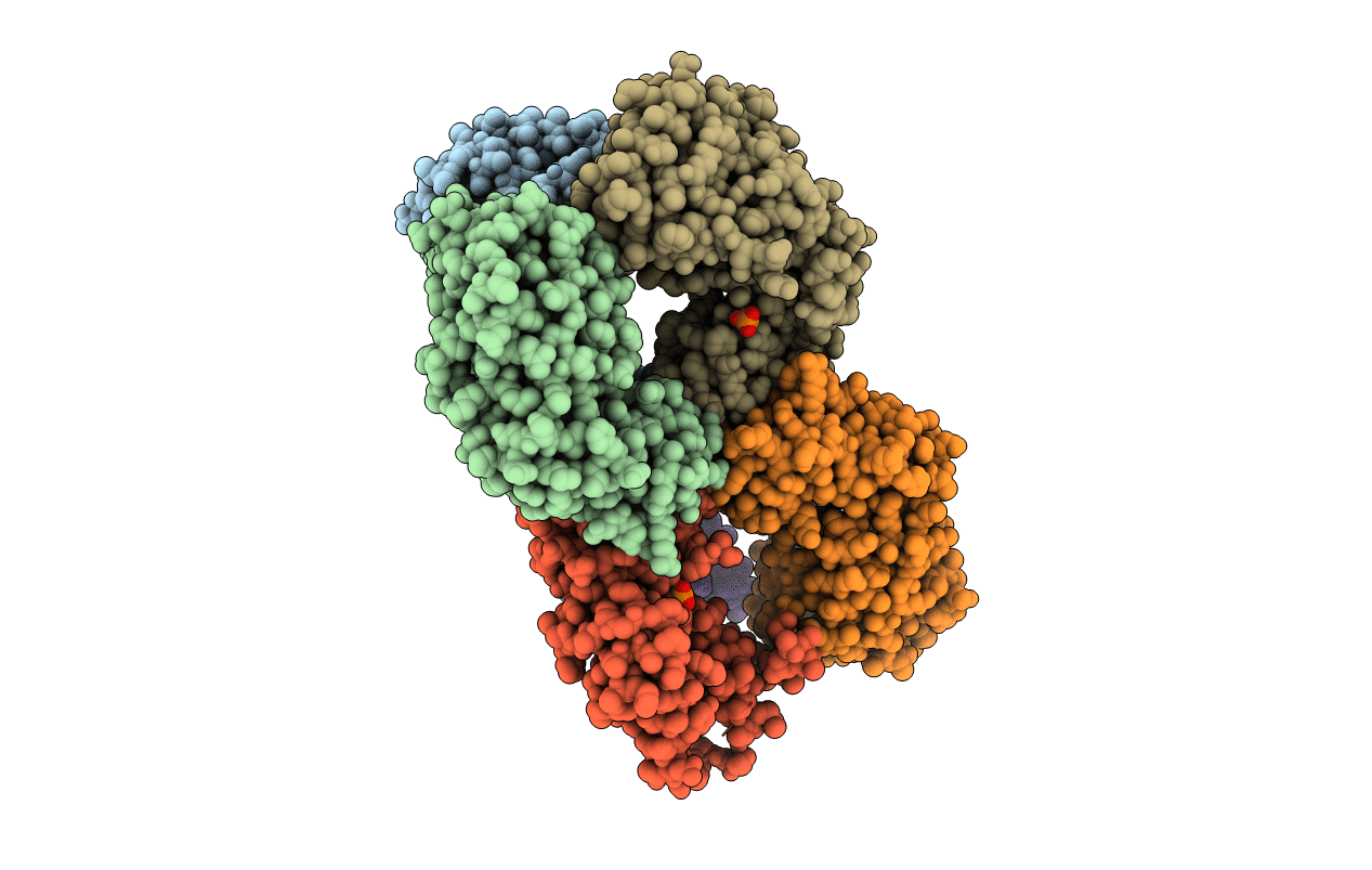 5UDT image