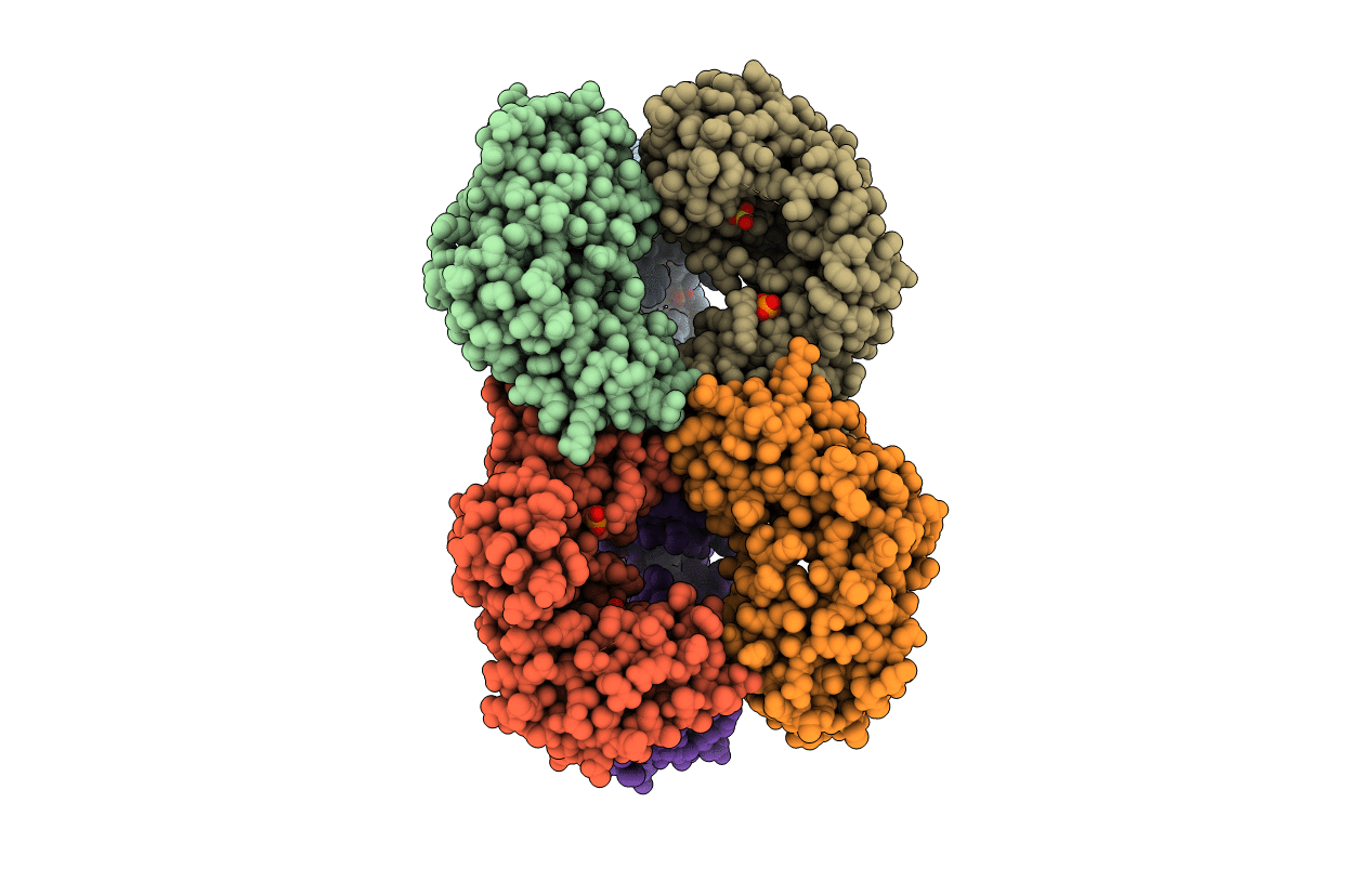 5UDV image