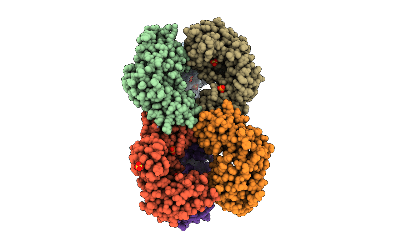 5UDX image