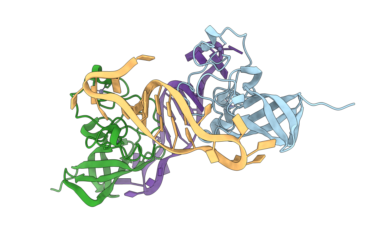 5UDZ image