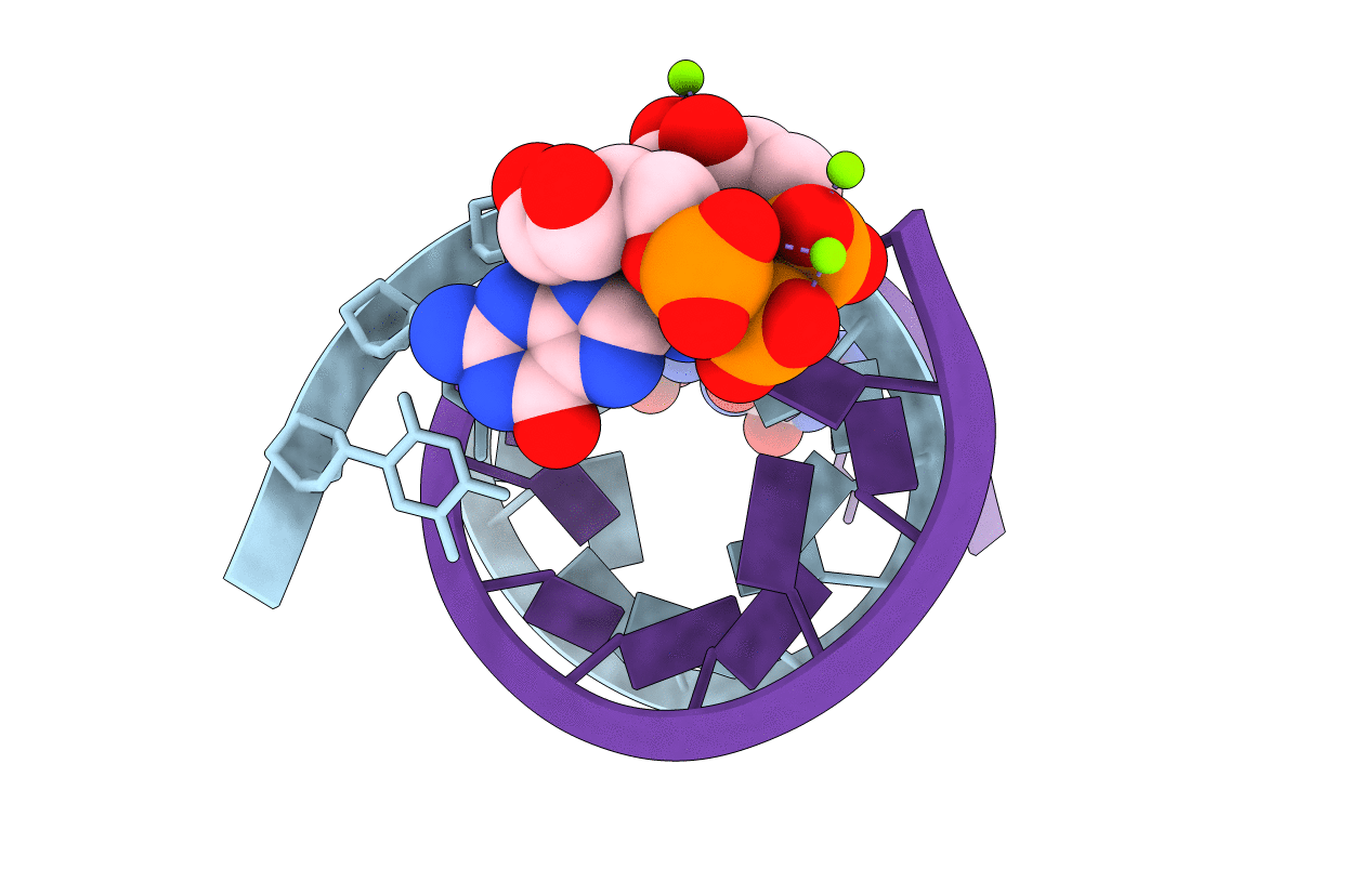 5UEE image