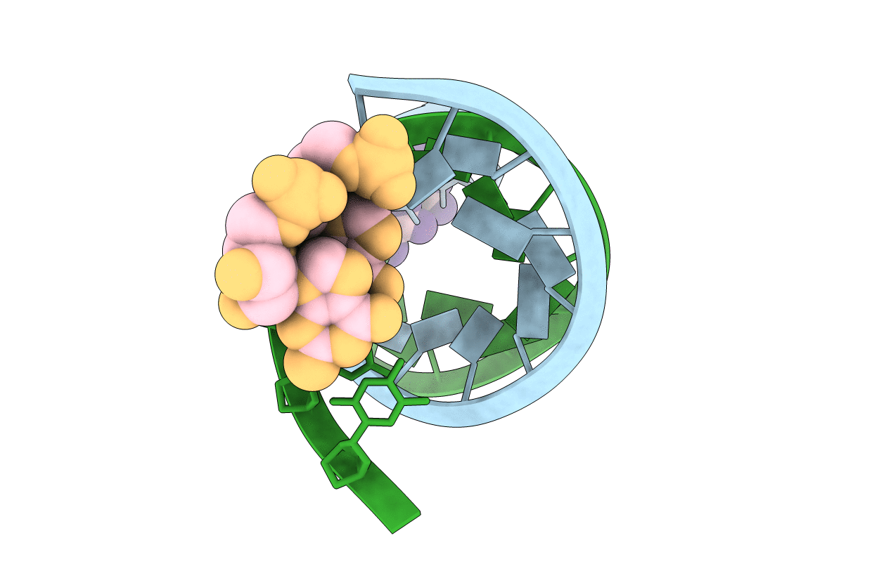 5UEF image