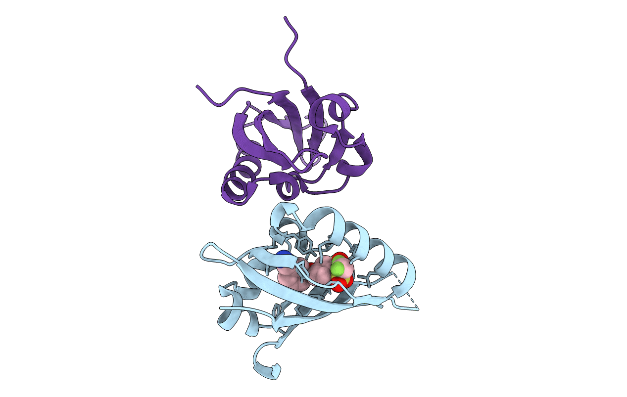 5UFP image