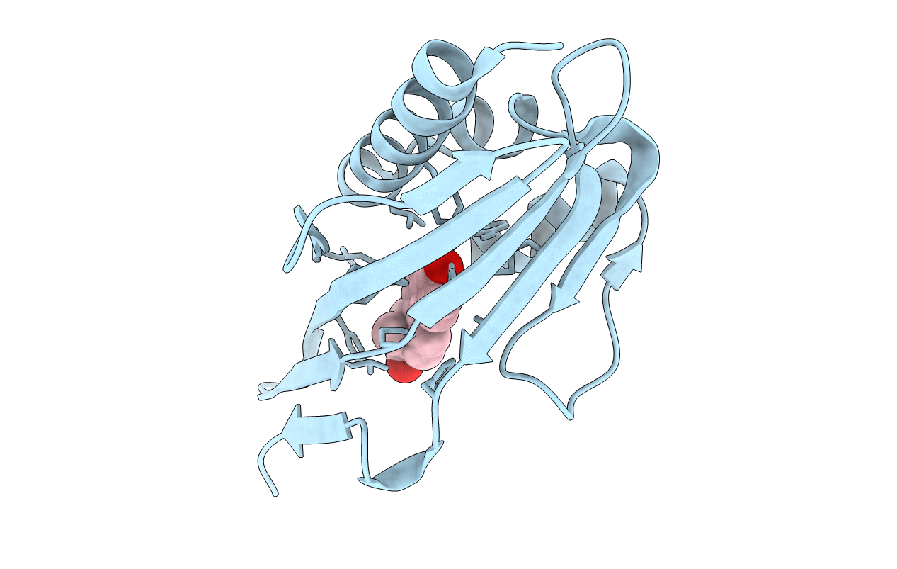 5UGI image