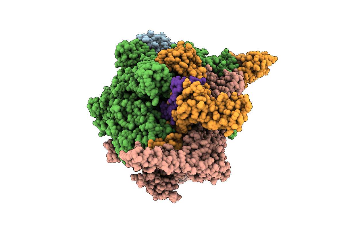 5UHA image