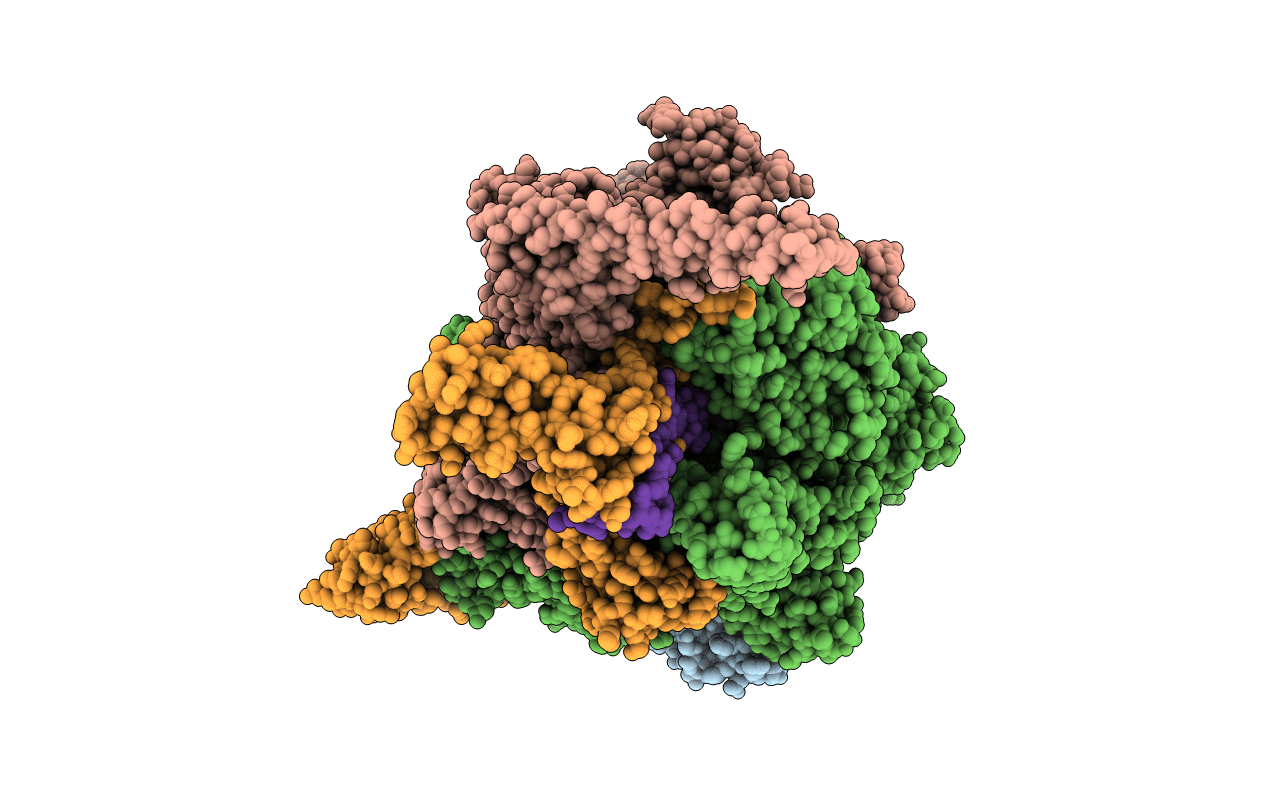 5UHB image