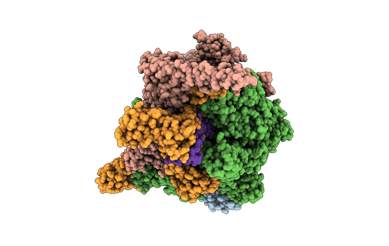 5UHG image