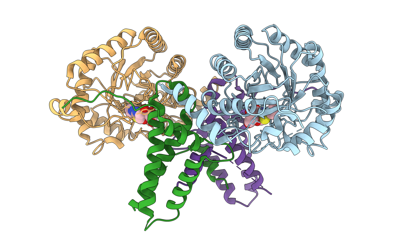 5UHL image