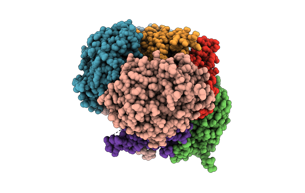 5UHP image