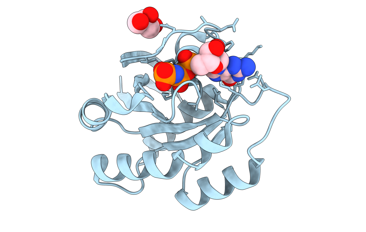 5UHV image