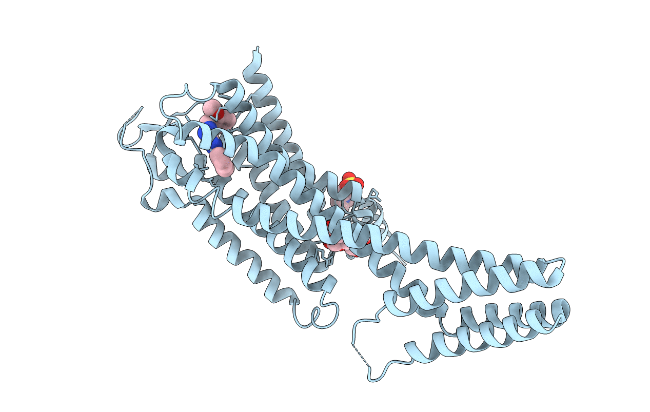 5UIG image
