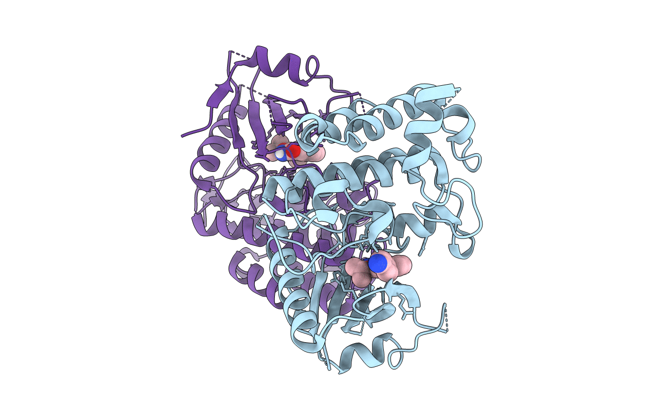 5UIR image