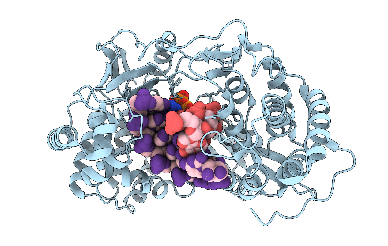 5UJ2 image