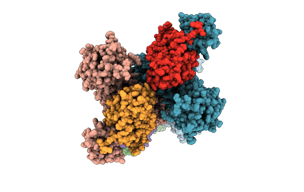 5UJ8 image
