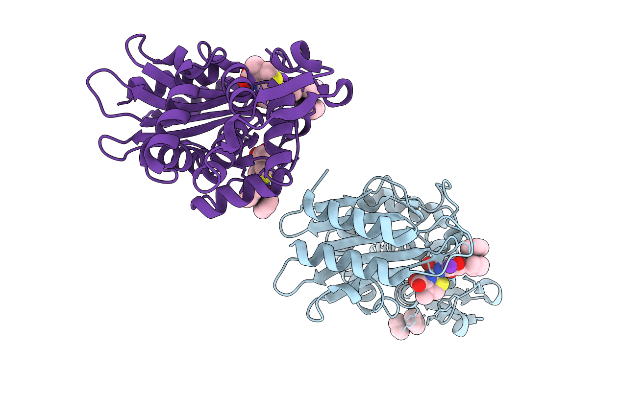 5UJO image