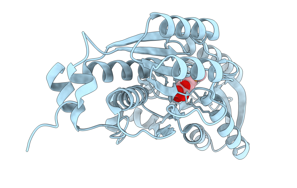 5ULB image