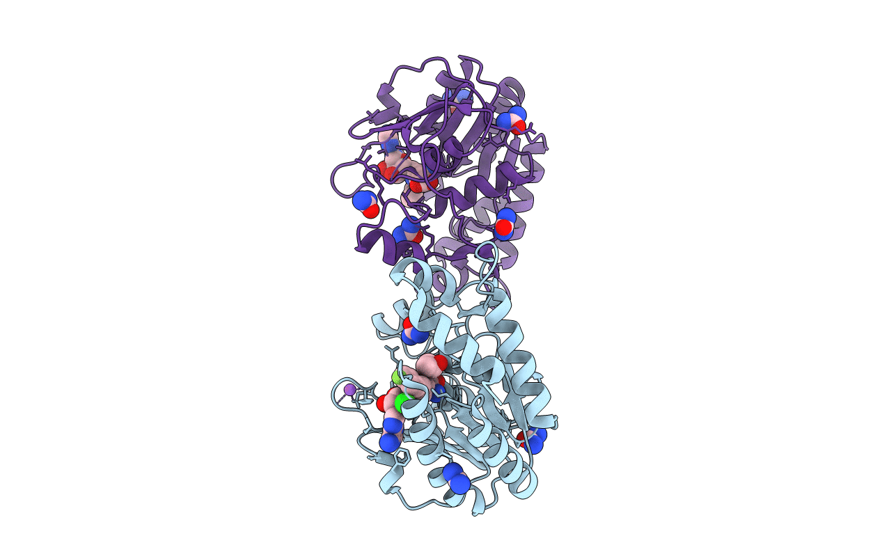5ULP image