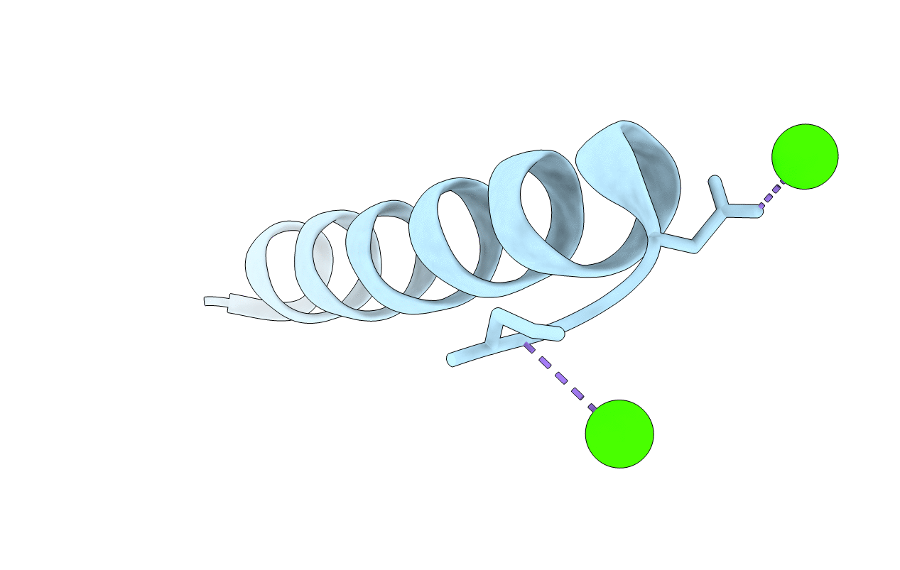 5UM1 image