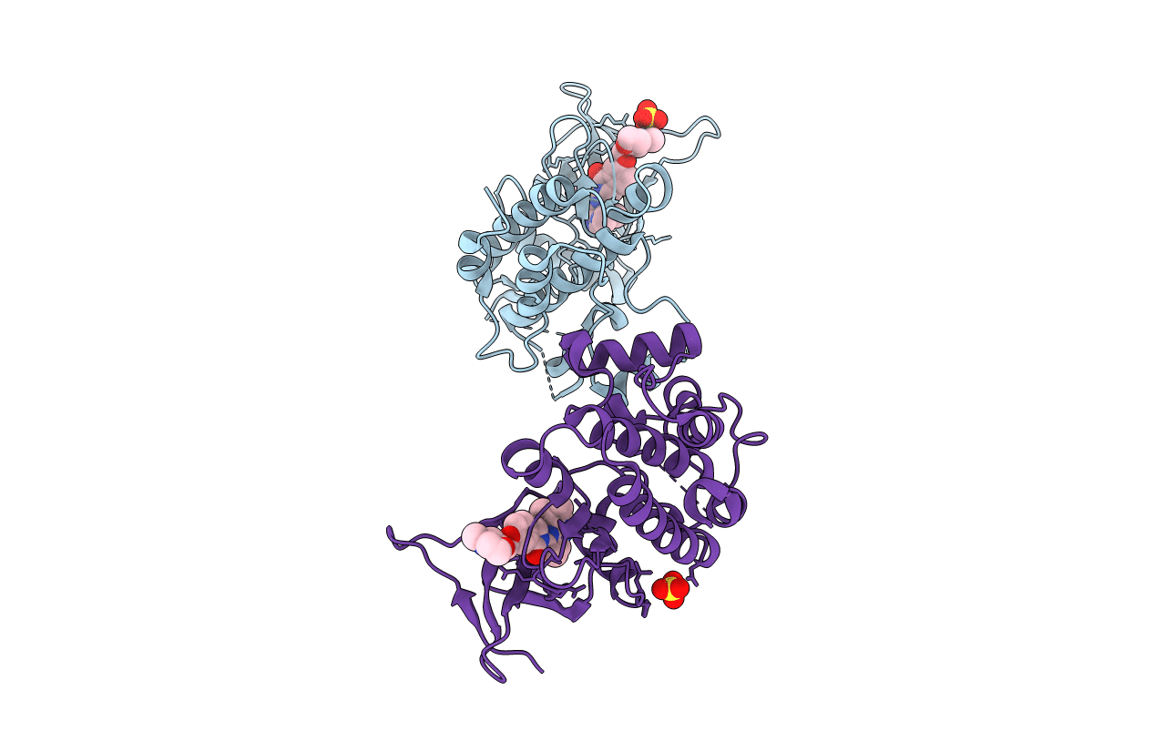 5UOR image