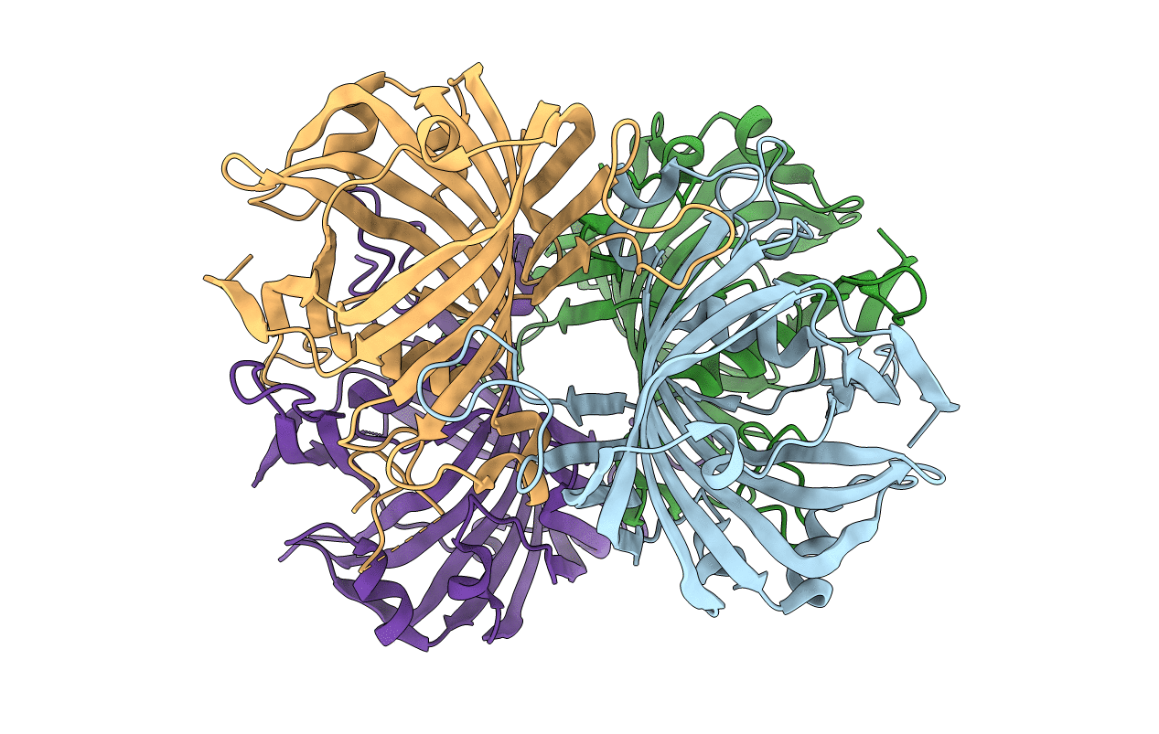 5UPB image